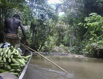 Les routes de l'impossible - Panama, business dans la jungle