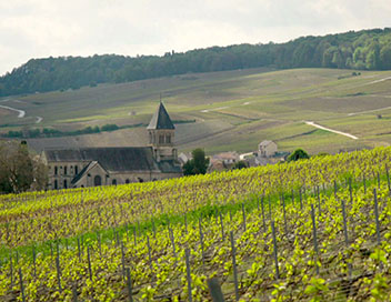 Voyages au pays des vins de terroir - De la valle de la Loire  l'Alsace