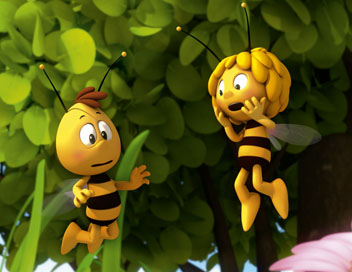 Maya l'abeille - Une nouvelle  la ruche