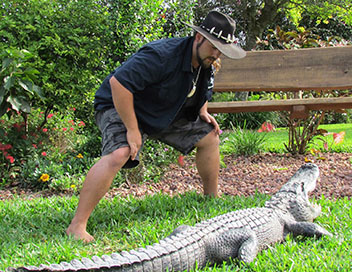 Gator Boys : au secours des alligators - Becca-Boo, fan de Jimmy