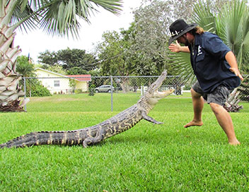 Gator Boys : au secours des alligators - Retour au village indien
