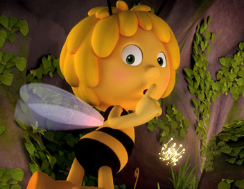 Maya l'abeille - Un cricri dans la nuit