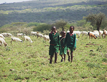 Chemins d'cole, chemins de tous les dangers - Le Kenya