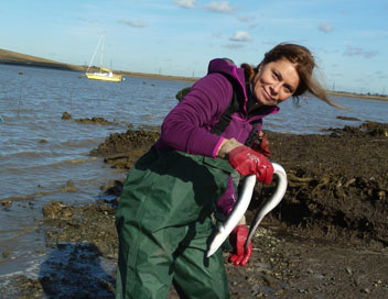 Les aventures culinaires de Sarah Wiener en Grande-Bretagne - Les anguilles de la Tamise