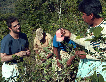 Les nouveaux explorateurs - Diego Buuel en Bolivie