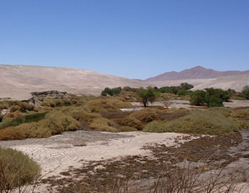 Dserts - Le dsert d'Atacama