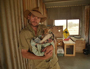 A l'cole de la vie sauvage - Les kangourous