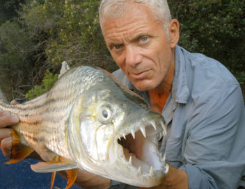 River Monsters - Tueurs arms