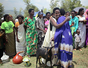 Rwanda : du chaos au miracle