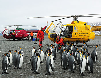 360-GEO - Bird Island, le paradis des oiseaux dans l'Antarctique