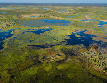 Gros plan sur la nature - Le delta de l'Okavango