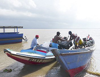 Expdition aux sources de l'Essequibo - Le delta du fleuve