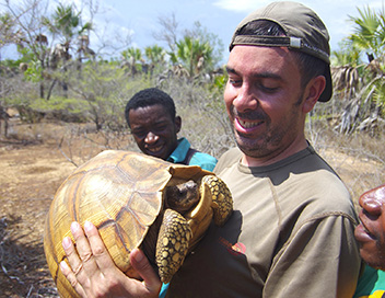 360-GEO - Madagascar, le trafic des tortues angonoka