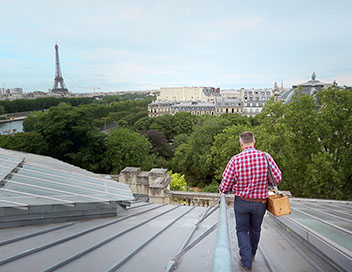 Sur les toits des villes - Paris