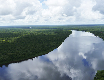 Expdition aux sources de l'Essequibo - La savane du Rupununi
